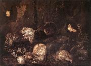 SCHRIECK, Otto Marseus van Still-Life with Insects and Amphibians ar oil painting